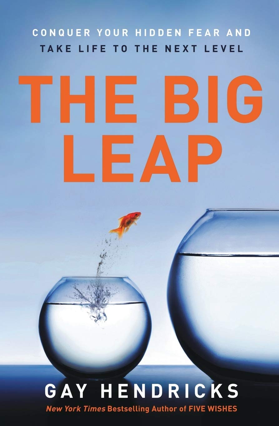 Book cover "The Big Leap"