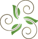 Spiral Vision logo